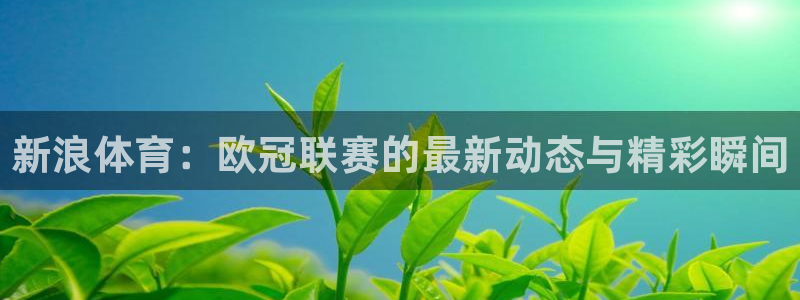 飞速看球nba直播