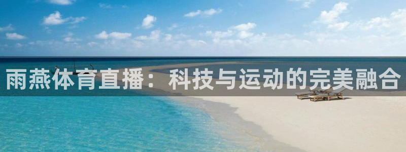 飞速体育直播nba免费观看：雨燕体育直播：科技与运动的完美融合