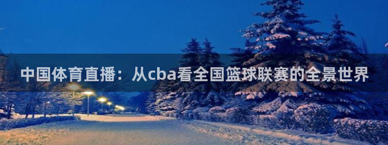 nba飞速直播：中国体育直播：从cba看全国篮球联赛的全景世界