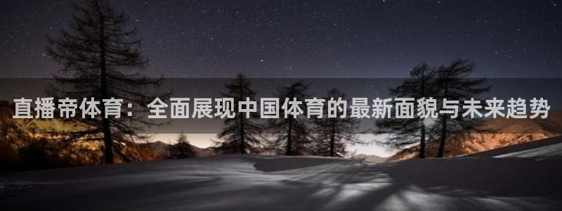 飞速看球：直播帝体育：全面展现中国体育的最新面貌与未来趋势