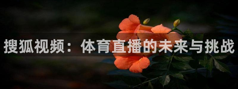 飞速直播体育在线直播nba：搜狐视频：体育直播的未来与挑战