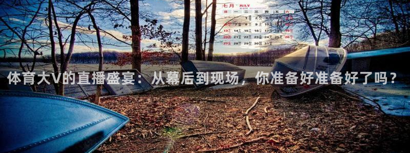 飞速体育直播：体育大V的直播盛宴：从幕后到现场，你准备好准备好了吗？
