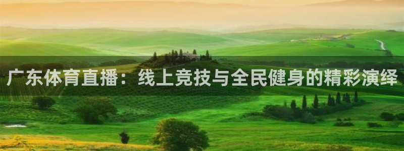 飞速直播：广东体育直播：线上竞技与全民健身的精彩演绎