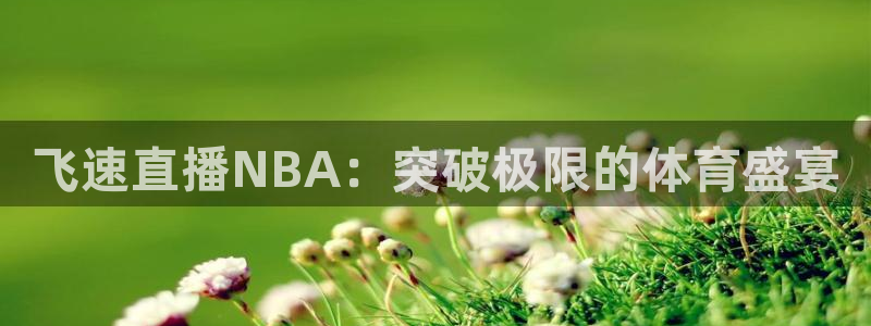 飞速nba免费直播：飞速直播NBA：突破极限的体育盛宴