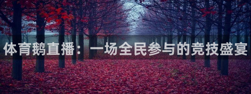 飞速足球直播官网：体育鹅直播：一场全民参与的竞技盛宴