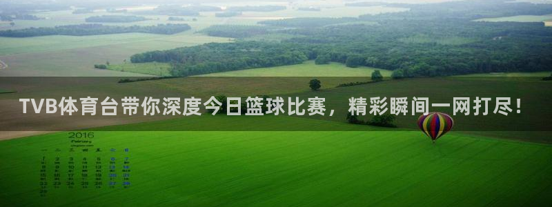 飞速足球直播官网：TVB体育台带你深度今日篮球比赛，精彩瞬间一网打尽！