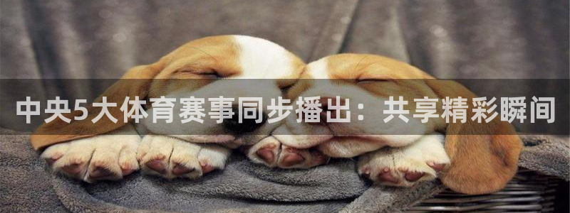 飞速体育nba直播在线：中央5大体育赛事同步播出：共享精彩瞬间